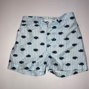 3-6 Month Boys Swim Trunks